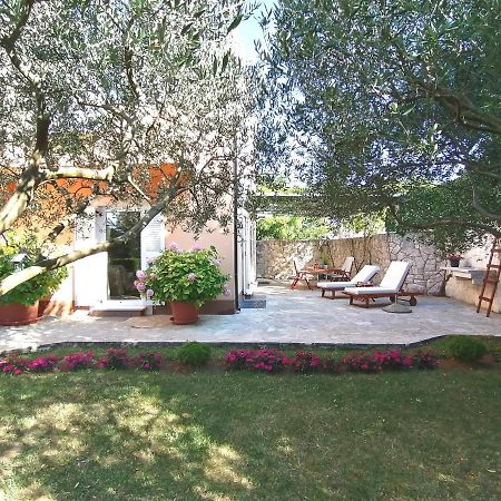 Kvasina Apartments Zadvarje 외부 사진